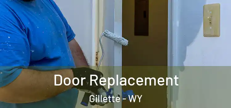  Door Replacement Gillette - WY