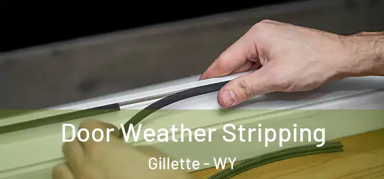 Door Weather Stripping Gillette - WY