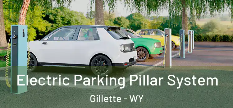  Electric Parking Pillar System Gillette - WY