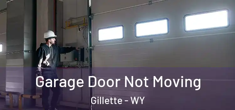  Garage Door Not Moving Gillette - WY