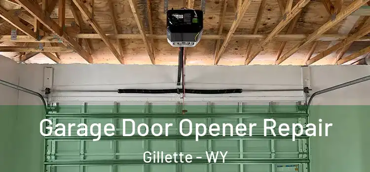  Garage Door Opener Repair Gillette - WY
