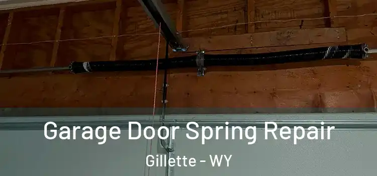  Garage Door Spring Repair Gillette - WY