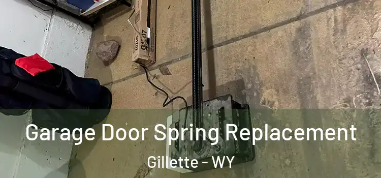  Garage Door Spring Replacement Gillette - WY