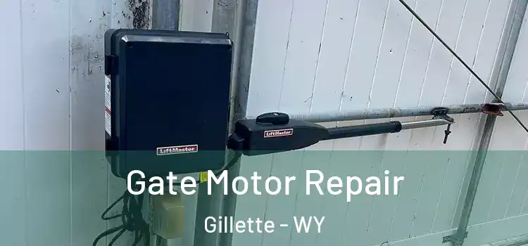 Gate Motor Repair Gillette - WY