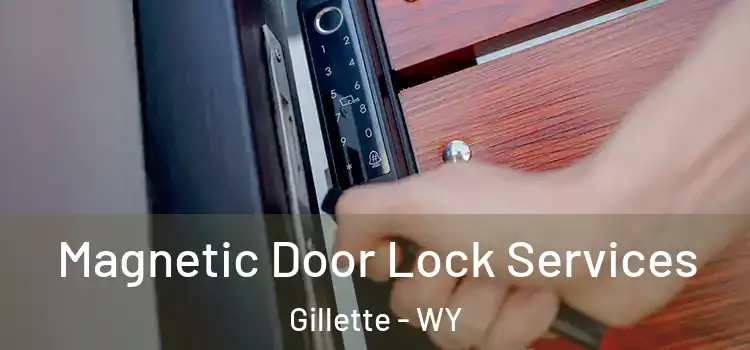 Magnetic Door Lock Services Gillette - WY