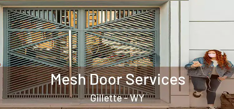 Mesh Door Services Gillette - WY