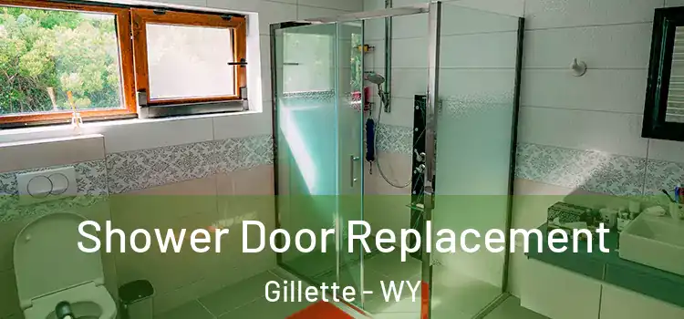 Shower Door Replacement Gillette - WY