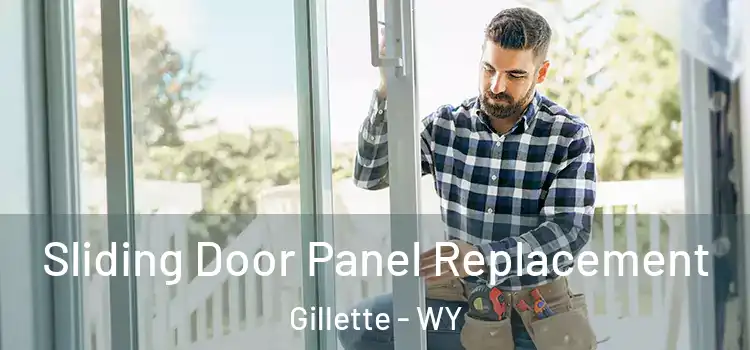  Sliding Door Panel Replacement Gillette - WY